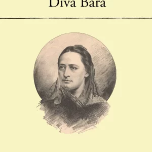 Divá Bára - rozbor