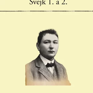 Osudy dobrého vojáka Švejka za světové války - rozbor
