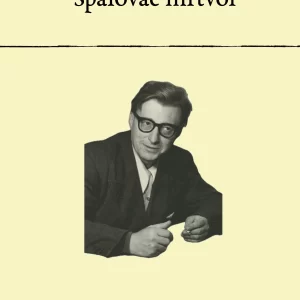 Písně kosmické - rozbor