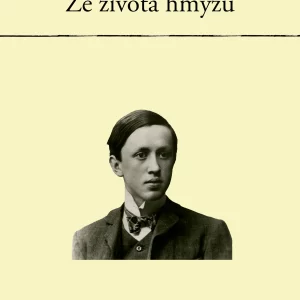 Ze života hmyzu - rozbor