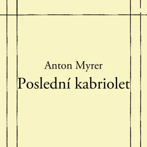 Poslední kabriolet - rozbor