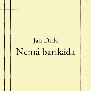 Nemá barikáda - rozbor