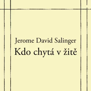 Kdo chytá v žitě - rozbor