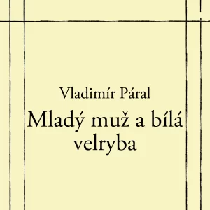 Mladý muž a bílá velryba - rozbor